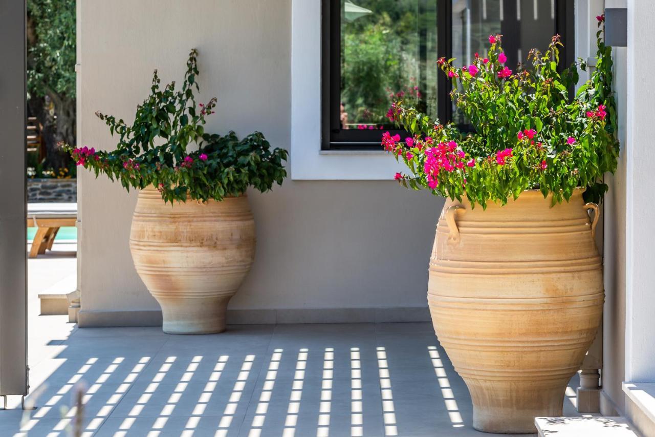 Villa Antigone Luxury Retreat Skopelos Extérieur photo